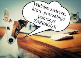 Pomoc dla zwierząt!!!